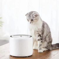 PETKIT Eversweet Smart Water Fountain Gen 3.0 - Pet Supplies - PawPawDear