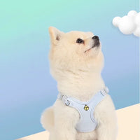 【Clearance】Adjustable Comfy Pet Harness Set