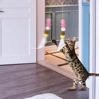 【Clearance】Cat’s Favourite! Cat Dancer