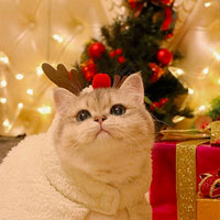 Christmas Little Reindeer Cape