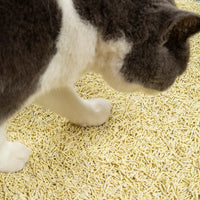 【Pre-order】Minimal OS Probiotics Tofu Cat Litter