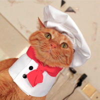 我是喵大厨-厨师帽围裙套装