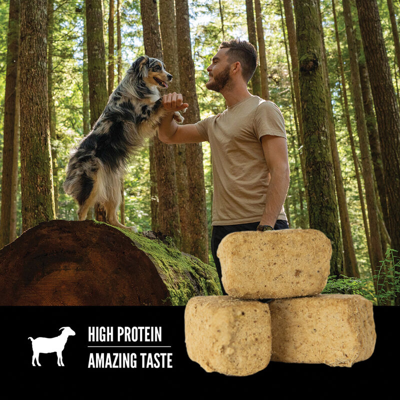 【Orijen】Freeze-Dried Dog Treats - Tundra - 92g