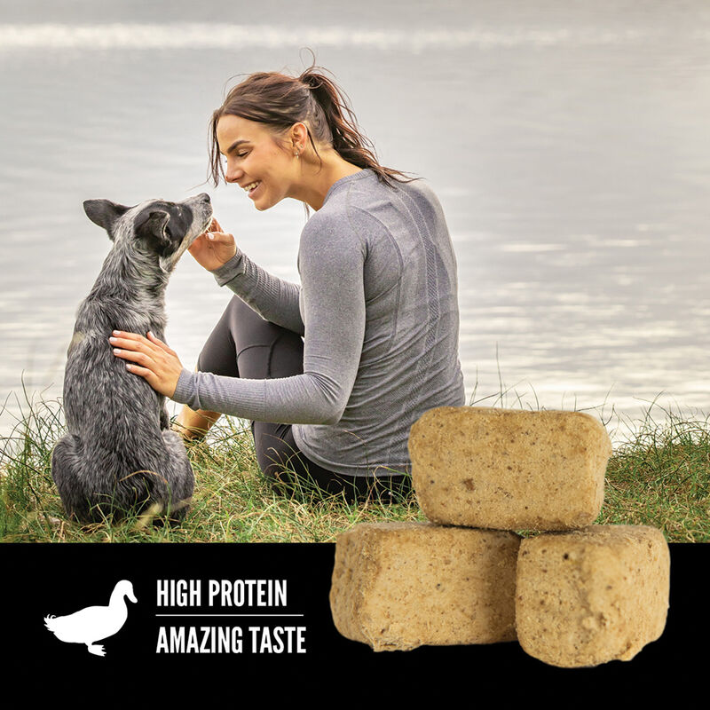 【Orijen】Freeze-Dried Dog Treats - Free-Run Duck - 92g