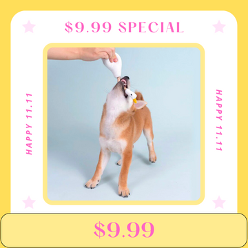 【Flash Sale】PURLAB Goose Chew Chew Dog Toy