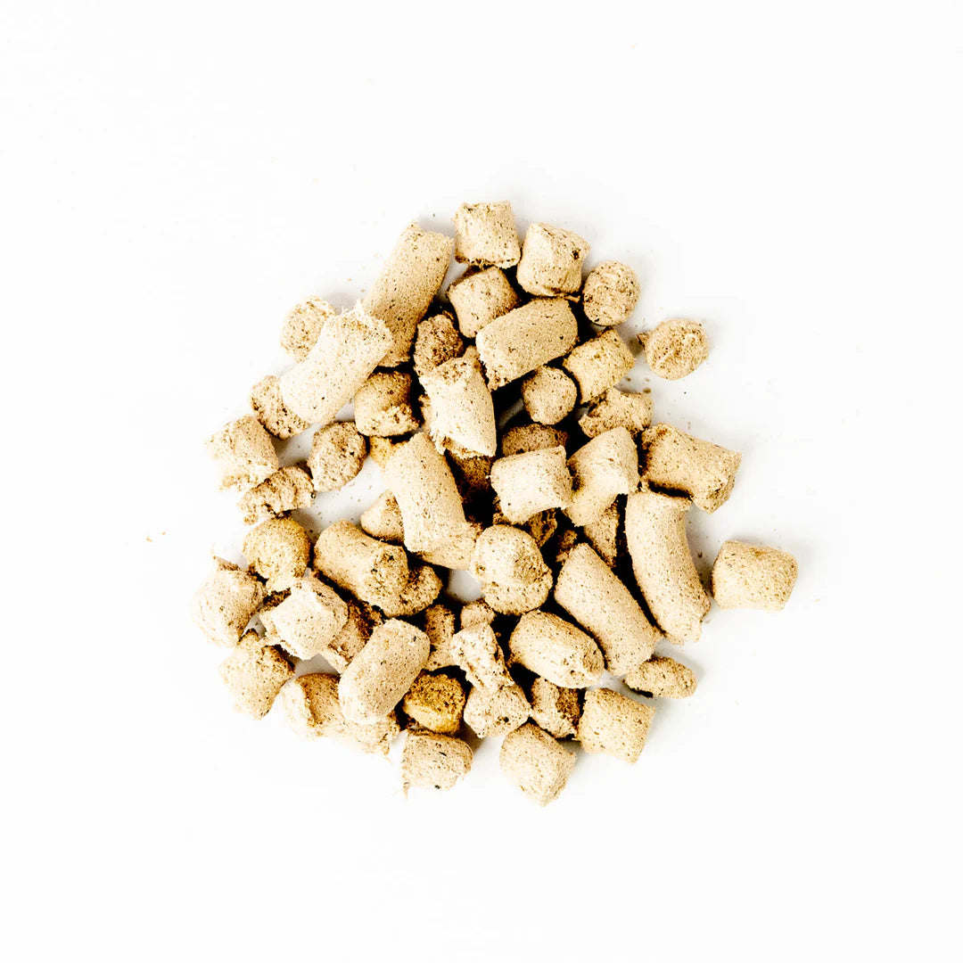 【Green Juju】Freeze Dried Whole Food Bites Salmon Blue -  3oz / 85g