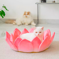 Amitabha! Lotus Bed