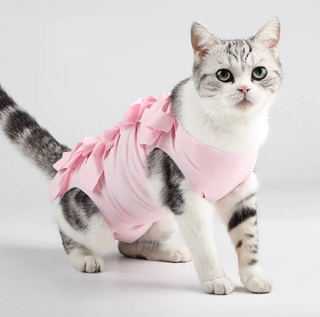 Recovery Suit for Pets