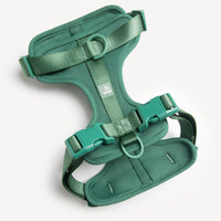 【EMPAWR】 Dog Harness - Green