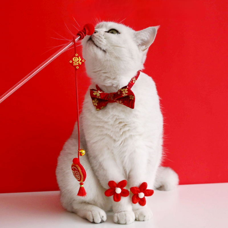 🧧CHUN JIE KUAI LE🧧 “FU” Lucky Cat Teaser