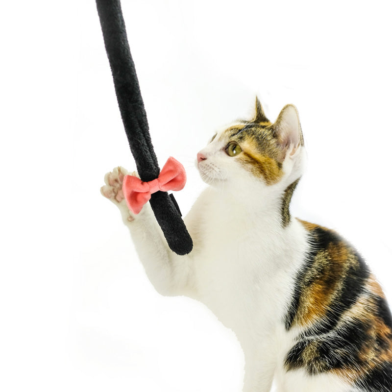 【Flash Sale】MEOWCARD Black Tail Cat Teaser