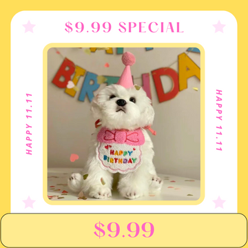 【Flash Sale】Happy Birthday Bib & Hat Set