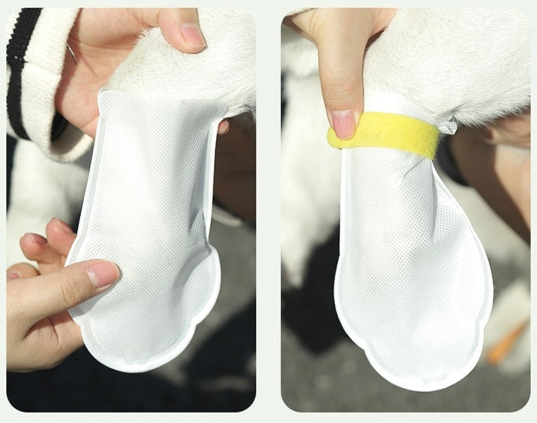 Disposable Dog Socks / Shoes - 10 per pack