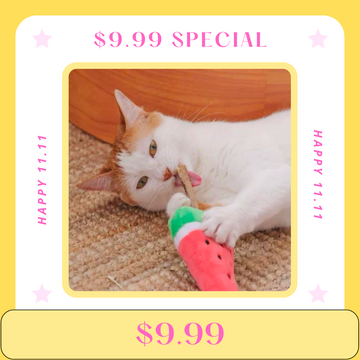 【Flash Sale】MEOWCARD Watermelon Silvervine Catnip Cat Toy