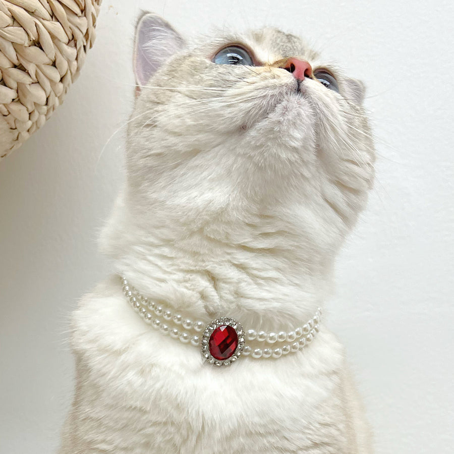 The Grand Princess's Necklace
