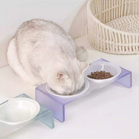 Twin Ceramic Pet Bowl with Acrylic Tall Stack