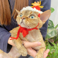 圣诞可爱帽子-红色