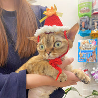 圣诞可爱帽子-红色