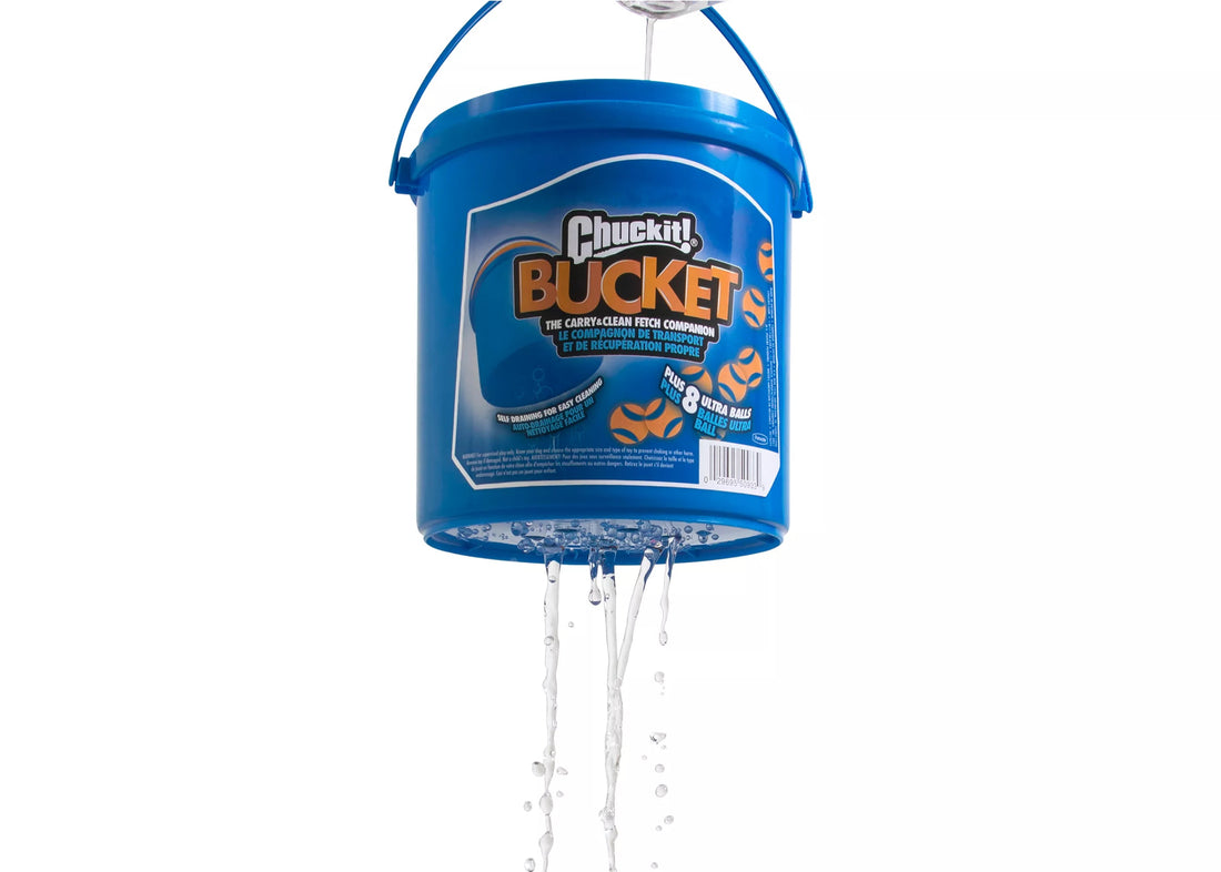 Check It Bucket 【Chuckit!】Bucket with 8 Medium Ultra Balls – PawPawDear
