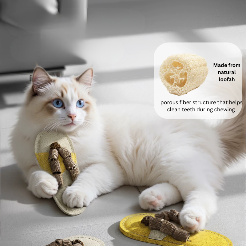 Slipper-Shaped Silvervine Loofah Cat Toy – Natural Chew & Play