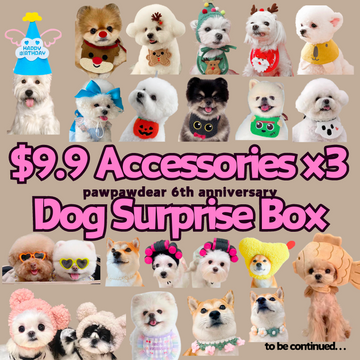 【6th Anniversary】$9.9 Dog Accessories box