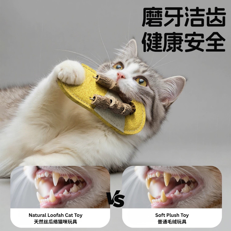Slipper-Shaped Silvervine Loofah Cat Toy – Natural Chew & Play