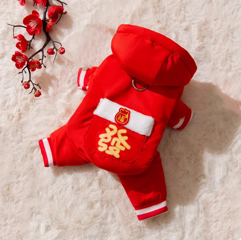 Chinese New Year Limited "Getting Rich" Hoodie