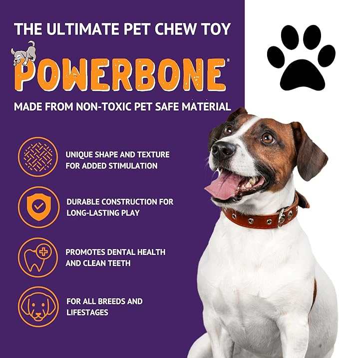 【Powerbone】The Ultimate Chew Toy - Guitar Dog 9.5"