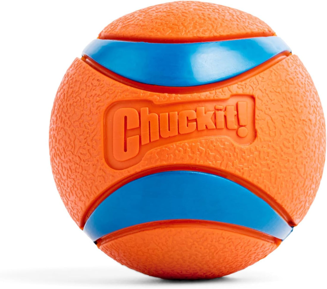 Check It Bucket 【Chuckit!】Bucket with 8 Medium Ultra Balls – PawPawDear