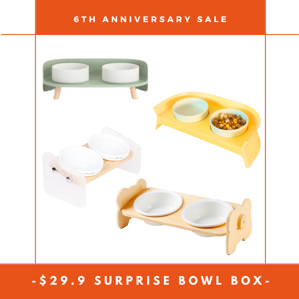 【6th Anniversary】$29.9 Surprise Bowl Box