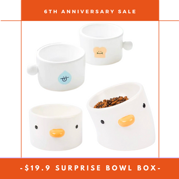 【6th Anniversary】$19.9 Surprise Bowl Box