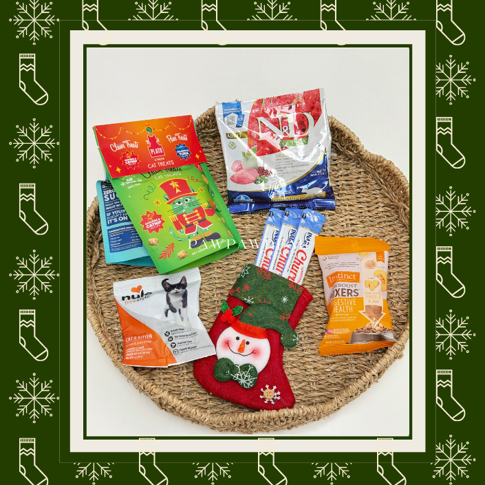 Santa Paws Socks - Cat Versions