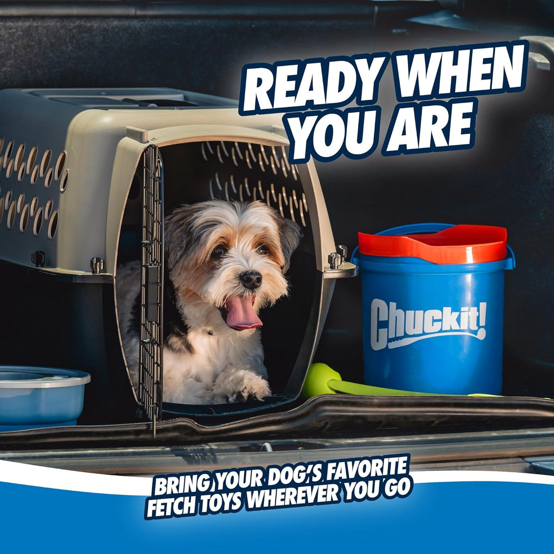 Check It Bucket 【Chuckit!】Bucket with 8 Medium Ultra Balls – PawPawDear