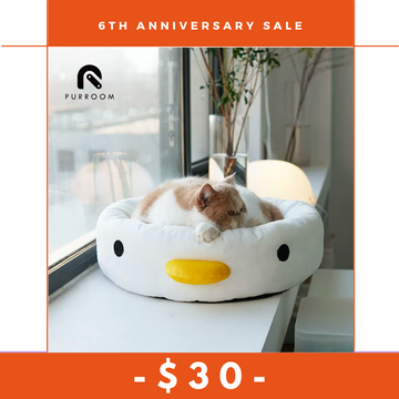 【6th Anniversary】Little Chick All Season Comfy Pet Bed