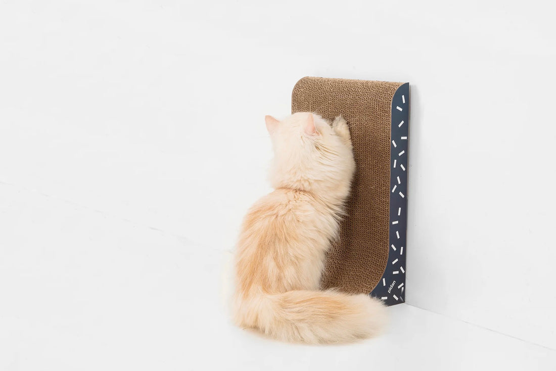 【PIDAN】Cat Scratcher - 3 in One Type, Set of 3 Pieces