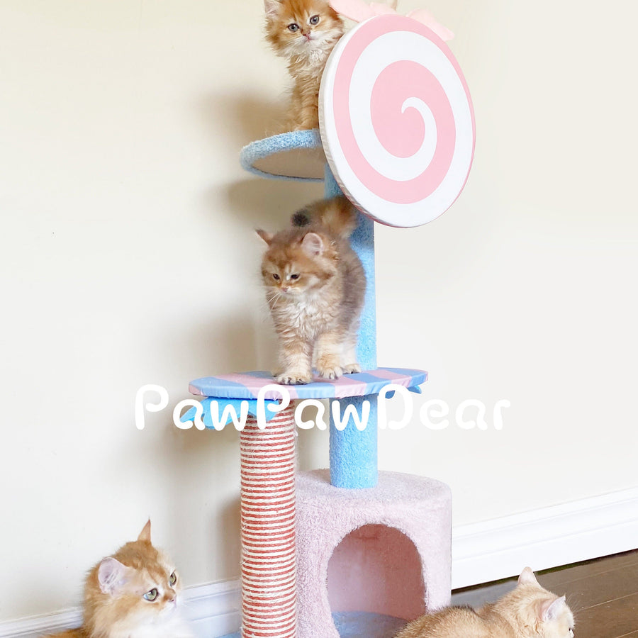 【6TH ANNIVERSARY】 BBDD Meow Lollipop Cat Tree - 96 cm