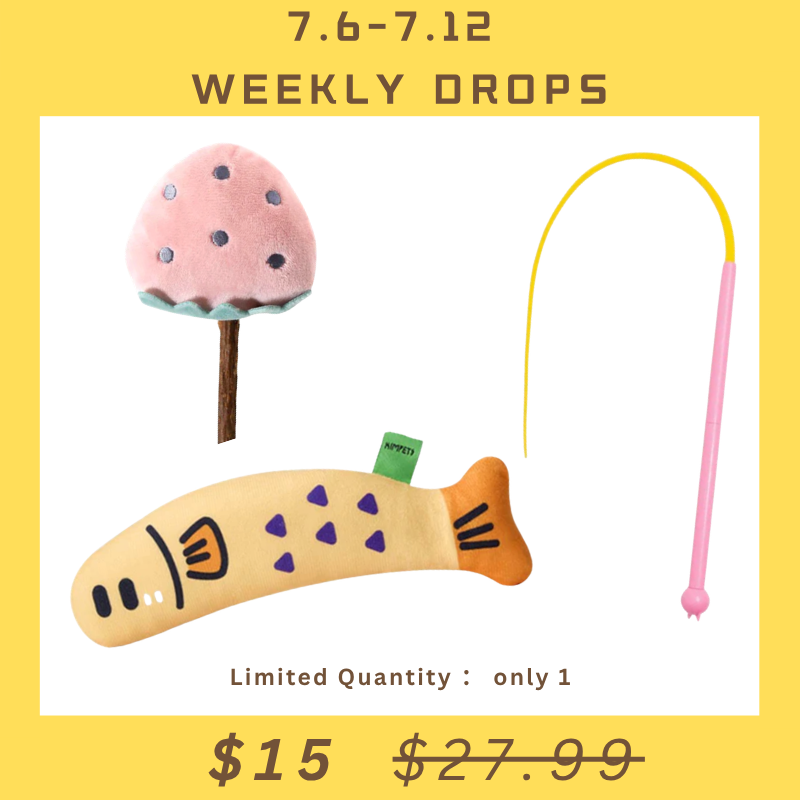【Weekly Drops】Cat Toy gift box