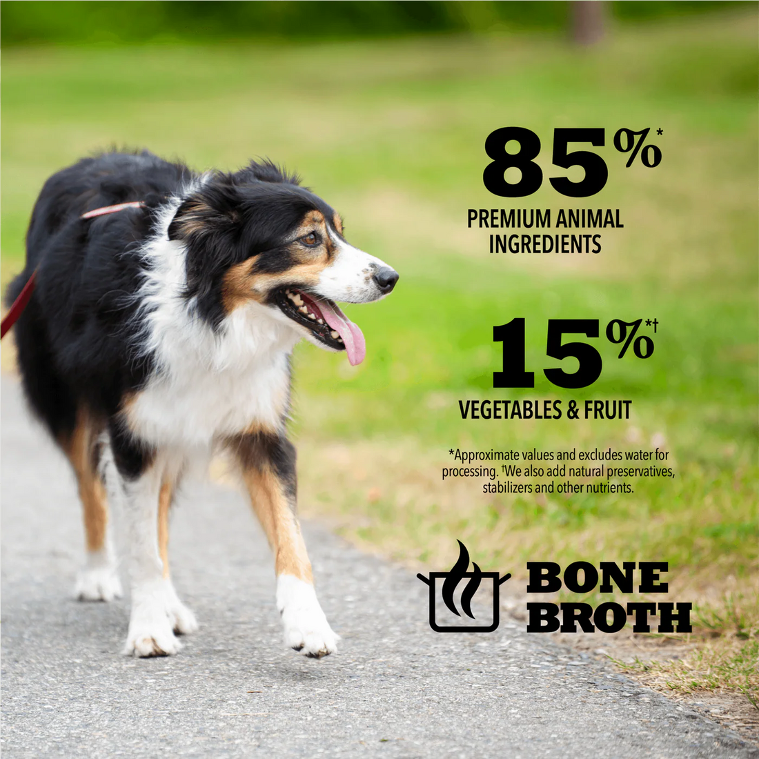 【Acana】Dog Premium Chunks - Lamb Recipe in Bone Broth - 363g