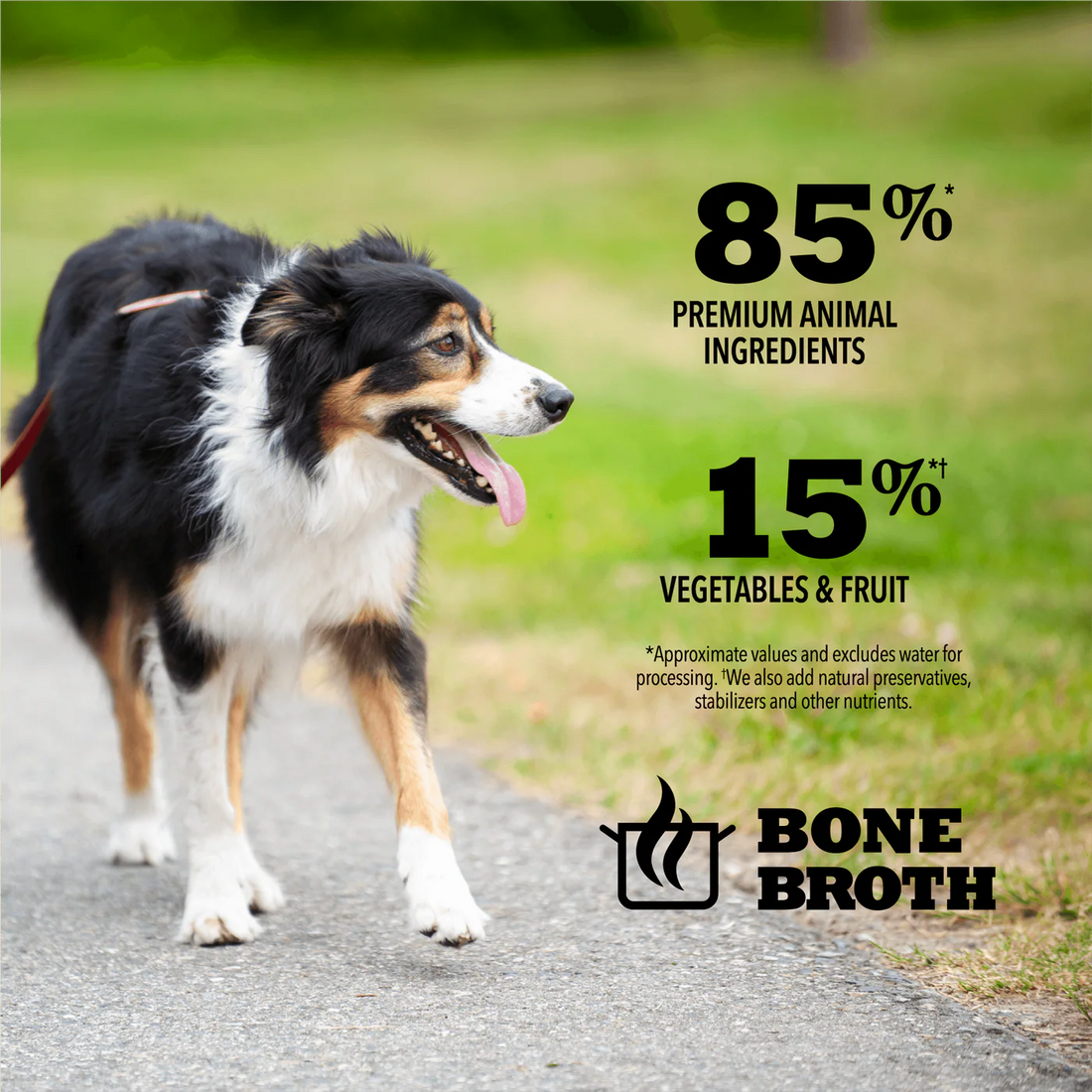 【Acana】Dog Premium Chunks - Poultry Recipe in Bone Broth - 363g