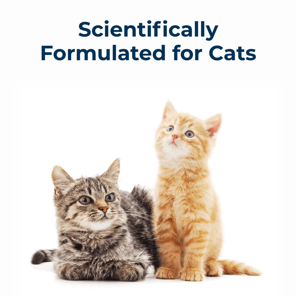 【PetAg】Cat-Sip Real Milk Supplement 8oz