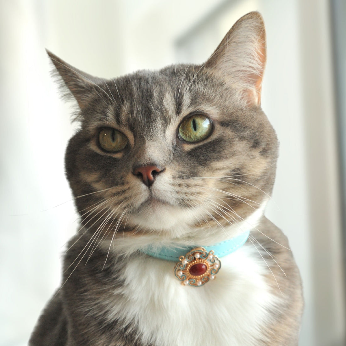 【Mori Cat】Pet Collar With Cultural Ornament Gem – Auspicious Clouds