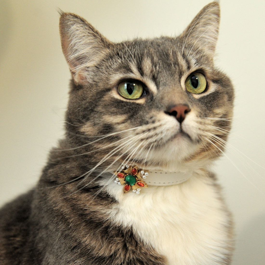 【Mori Cat】Pet Collar With Cultural Ornament Gem – Rococo Inspired