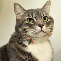 【Mori Cat】Pet Collar With Cultural Ornament Gem – Rococo Inspired