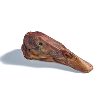 【Just Raw】Dehydrated Duck Head - 1pc