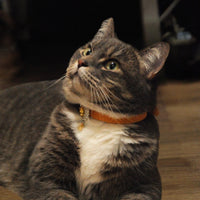 【Mori Cat】Luxury Cat Collar with Interchangeable Gem Charms-Beige