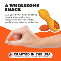 【Primal】南瓜香蕉配山羊奶狗狗零食