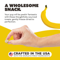 【Primal】南瓜香蕉配山羊奶狗狗零食