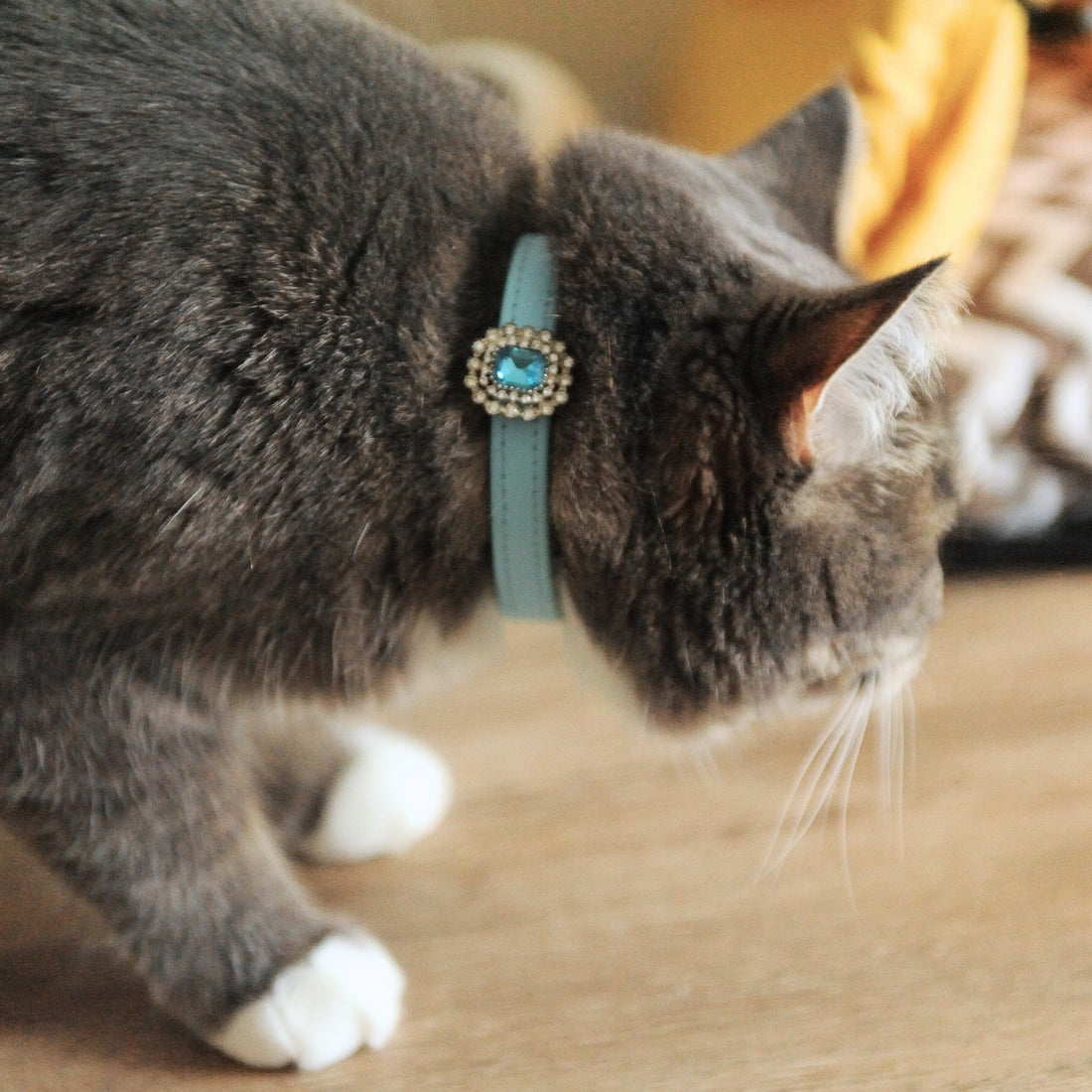【Mori Cat】Luxury Cat Collar with Interchangeable Gem Charms-Blue