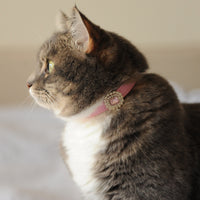 【Mori Cat】Luxury Cat Collar with Interchangeable Gem Charms-Pink