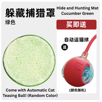 Cat Hide and Hunting Mat